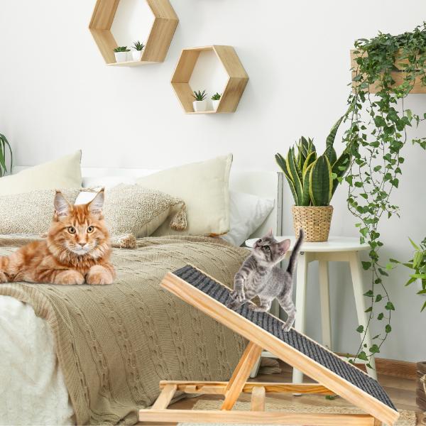 Rampa per Cani Scale in Legno 70 Cm Con Regolazione Altezza [M-Rampa1]