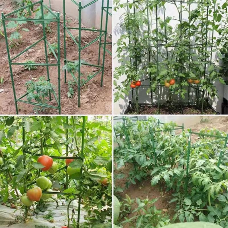 12/24 Piezas Brazos de Estaca para Jaula de Tomates de Jardín Ayuda para el Crecimiento de Plantas Soporte de Tallo de Planta