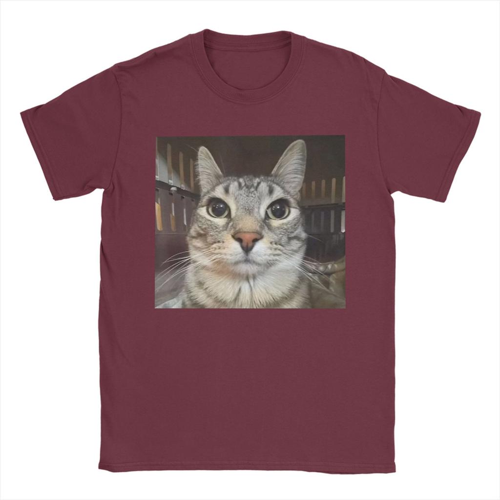Silly Staring Cat Meme Mens T Shirts Vintage Tees Short Sleeve Round Collar TShirts Pure Cotton Party Clothes