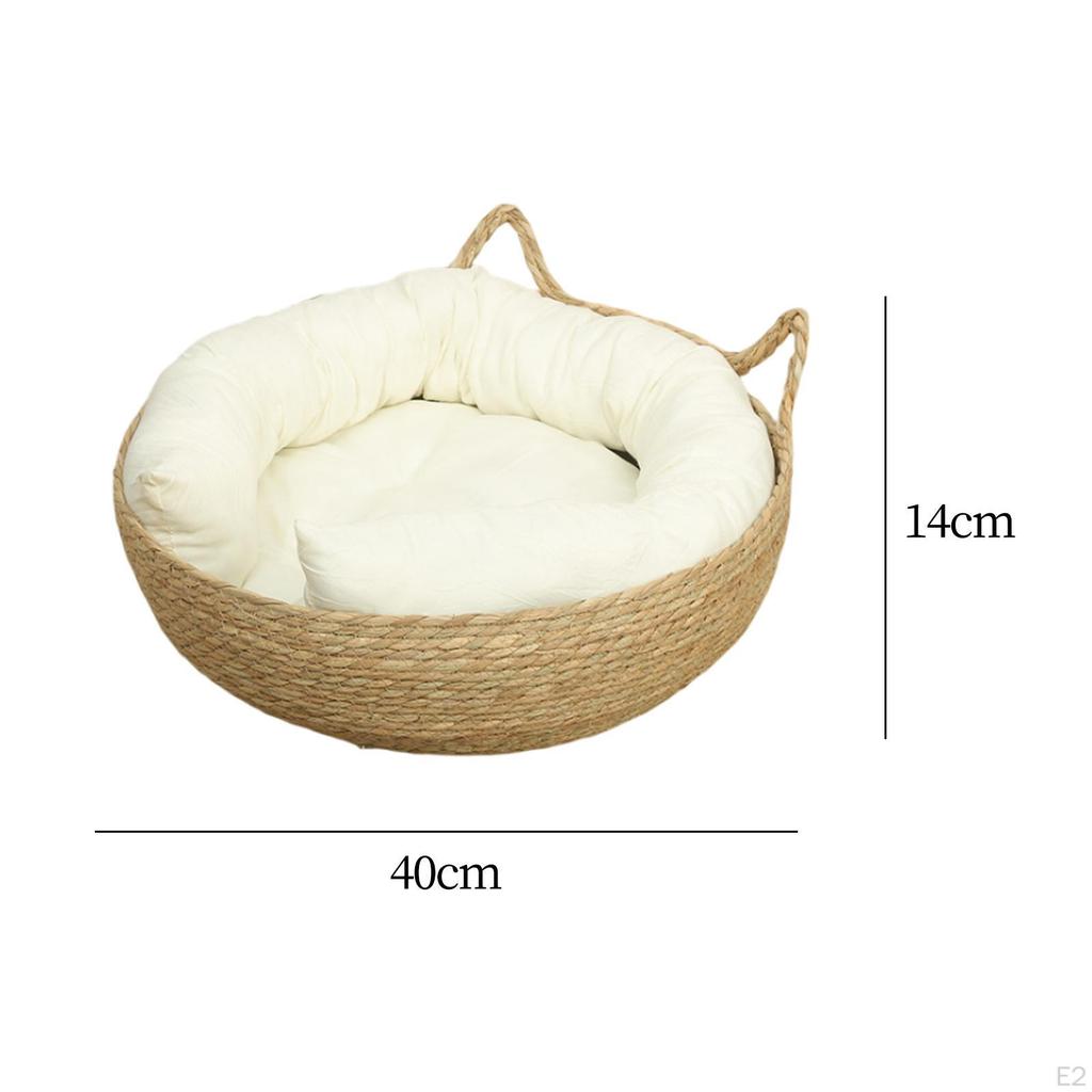 Lounge Bed with Interchangeable Cushion for Small Pets