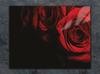 TABLA DE CORTAR DE CRISTAL 40x30 ROSA