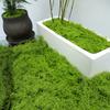 30/100G Künstliches Grünes Moos DIY Basteln Zimmerpflanzen Feengärten Tischdekorationen Aquarien Mikrolandschaften Dekoratives Künstliches Moos