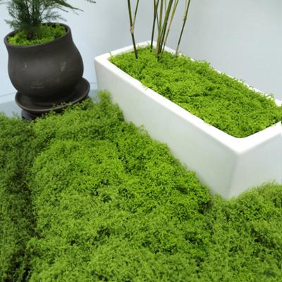 30/100G Artificial Green Moss DIY Crafts Indoor Plants Fairy Gardens Table Centerpieces Fish Tanks Microlandscape Decorative Fake Moss