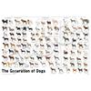 EPOCH 1000-Piece Jigsaw Puzzle Creatures/Pets Dogs Dog Pedigree Chart (50x75cm) 12-625s Includes Glu