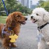 Hands-Free Dog Shaped Pet Poop Bag Holder Portable with Clip Trash Bag Dispenser Hanging Pet Garbage Bag Dispenser Travel
