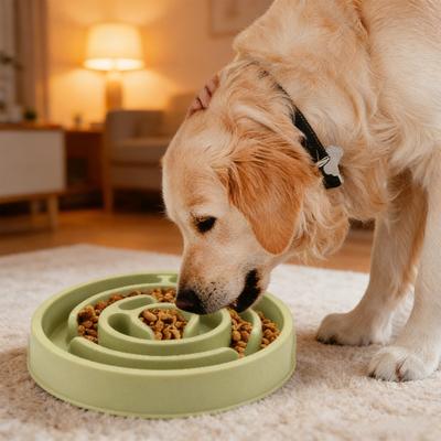 Slow Feeder Dog Bowl Slow Feeding Pet Bowl Maze Puzzle Bowl Prevents Choking Gulping for Dogs And Cats Healthy Eating