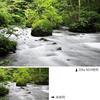 Kenko Zeta ND4 52mm ND Filter for Light Intensity Adjustment (035245)