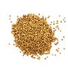 Kolendra ziarno 100g PREMIUM