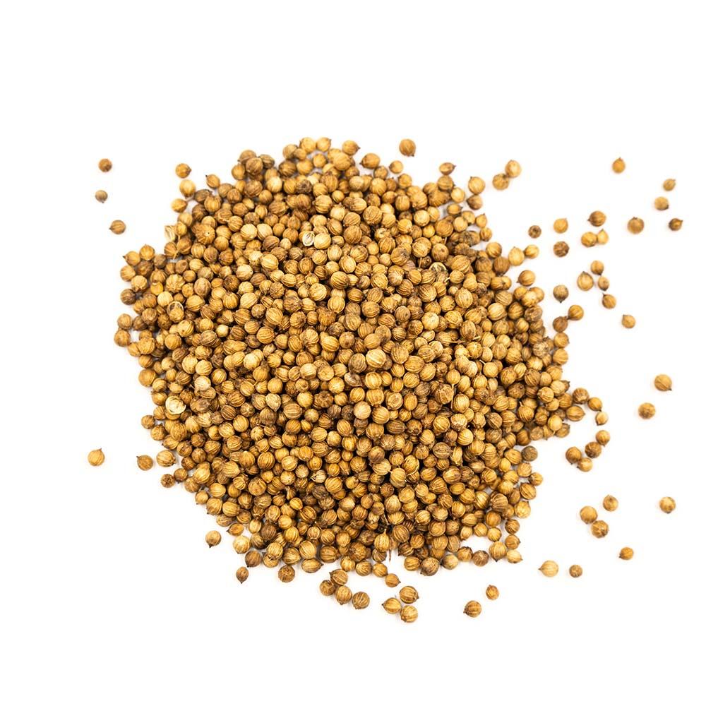 Kolendra ziarno 100g PREMIUM
