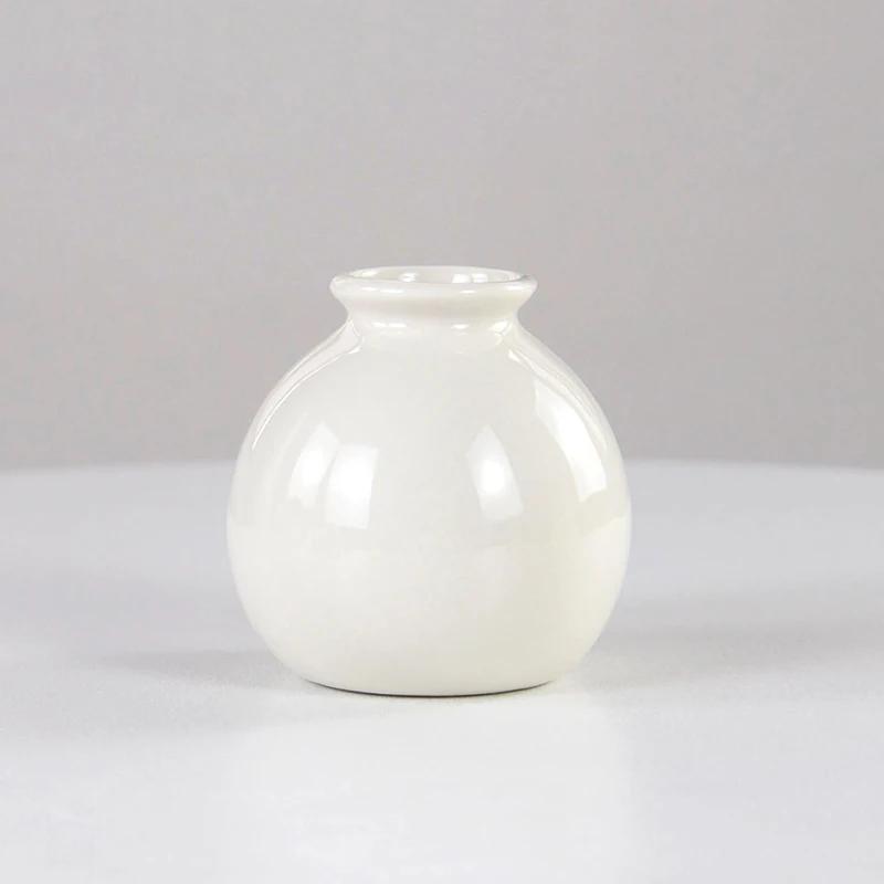 Ceramiczny wazon na kwiaty Nordic Hydroponics Wazony do dekoracji pokoju domowego Miniaturowa roślina kwiatowa Białe doniczki na butelki Ozdoba na biurko