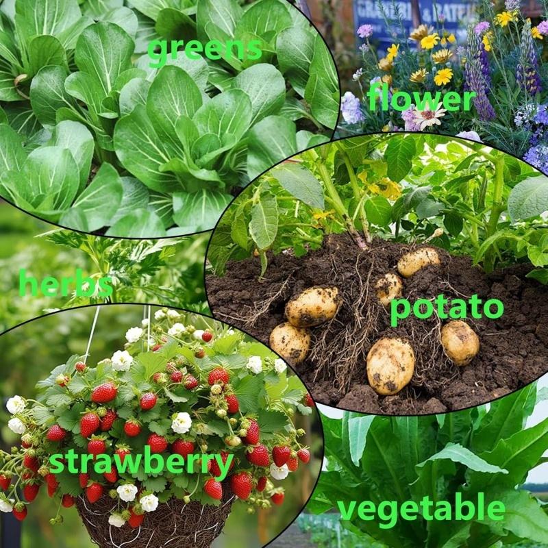 Premium Felt Strawberry Planter Grow Bag Fruit Vegetable Growing Bags 6 Holes