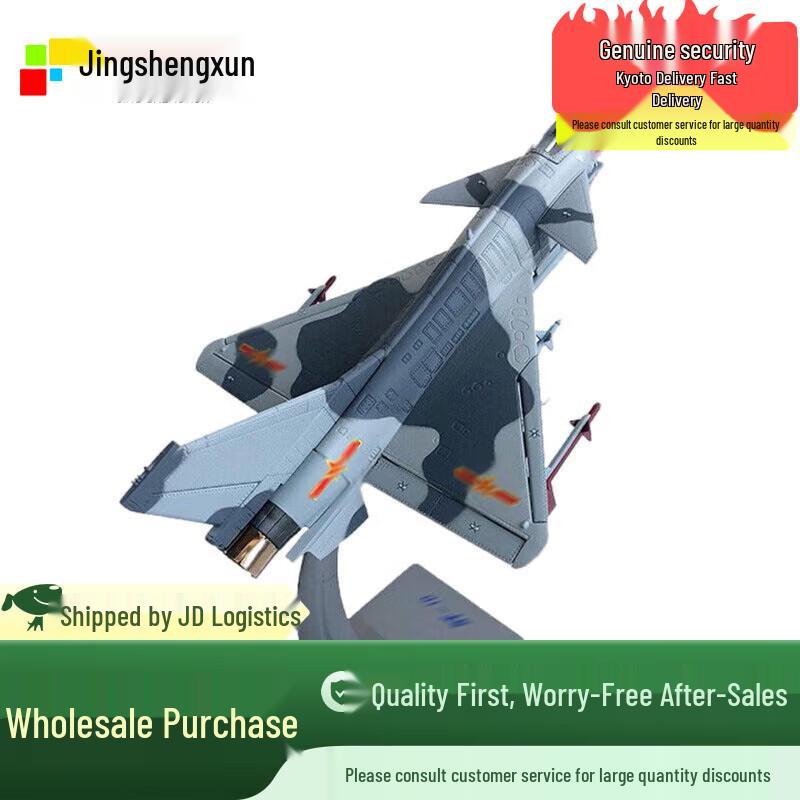 J-10 Fighter Jet Model