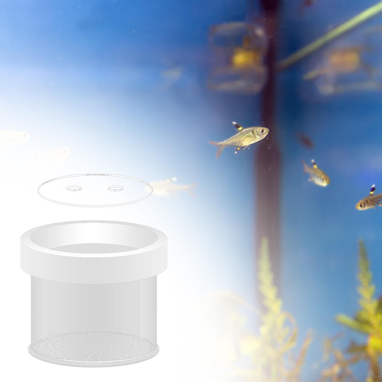 

Аквариумная коробка для заводчика, инкубаторий, плавающий нерест, инкубационная изоляция для ребенка 12cmx10cm