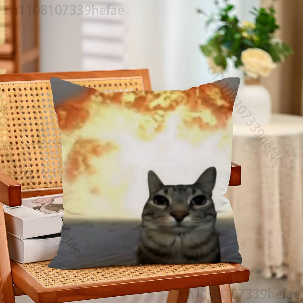 Cat Memes Funny Meme Print Polyester Pillow Case for Valentine Gift Home Sofa Cushion Cover Decoration Custom