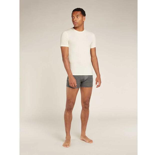 Icebreaker трусы-боксёры Merino 125 Cool-Lite Anatomica