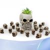 Creative Resin Ghost Head Micro-landscape Garden Potted Plant Decoration with Skull Set Ornaments