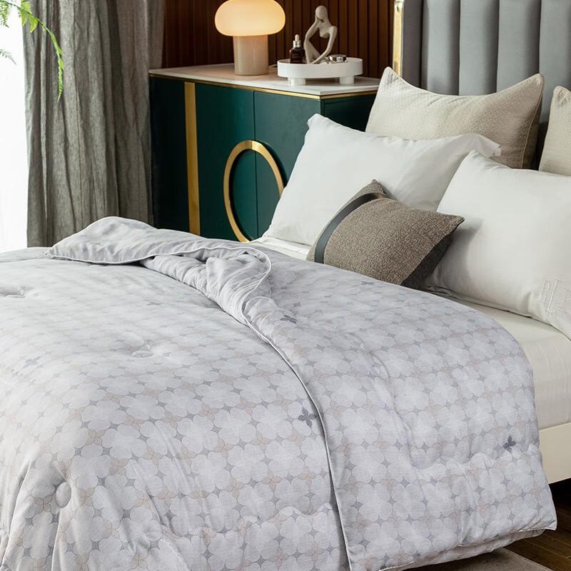 Shanshan Graphene Technology All-Season Mother-Child Duvet