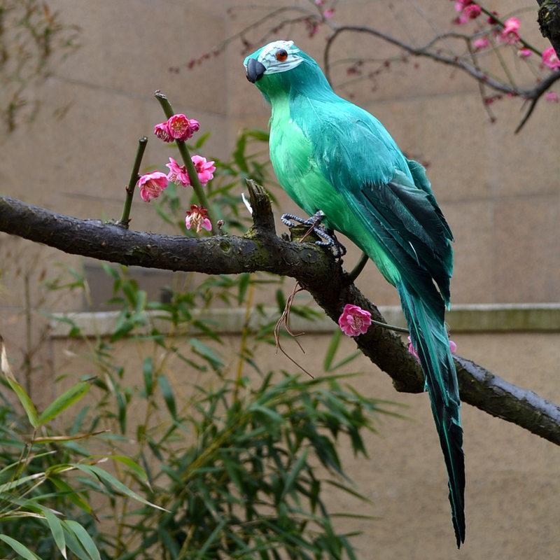 25/35cm Handmade Artificial Parrot Cute Bird Designer Decor Weeding Gift Party Garden Home Decoration