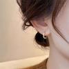 New Style, Niche and Unique Earrings. Women's High-end Earrings with Elegant Loops and Simple Rings.