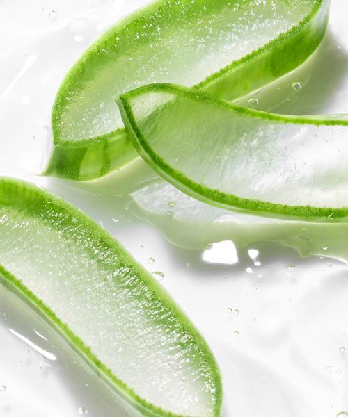 [Innisfree] Aloe Revitalizing Soothing Gel 300ml