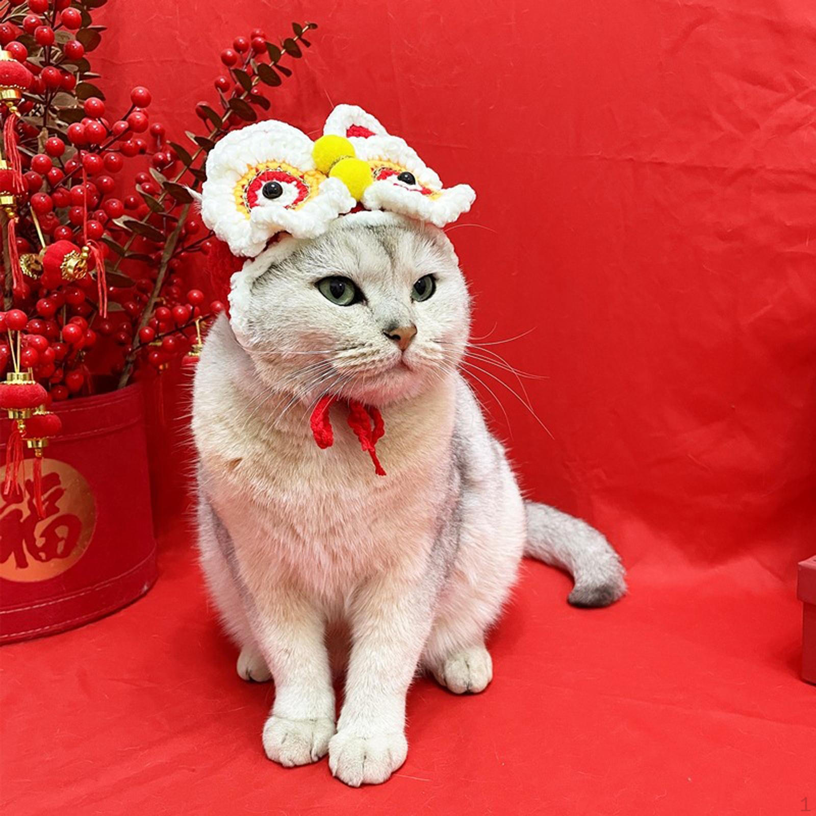 

Hat for Dogs and Cats - Winter Knit Headwear S