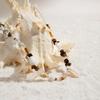 Holiday Style Sexy Rice Bead Waist Chain Set, Ladies Beaded Shell Beach Body Chain