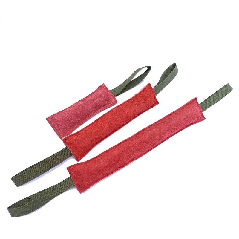 

Professional Dog Training Equipment