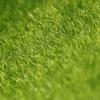 New Micro Landscape Decoration DIY Mini Fairy Garden Simulation Plants Artificial Fake Moss Decorati