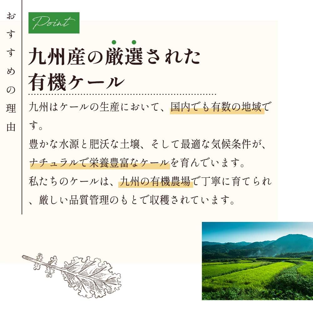 Grace of Nature Organic Kale Powder Domestic Kyushu Organic Powder Organic JAS Certified 100g