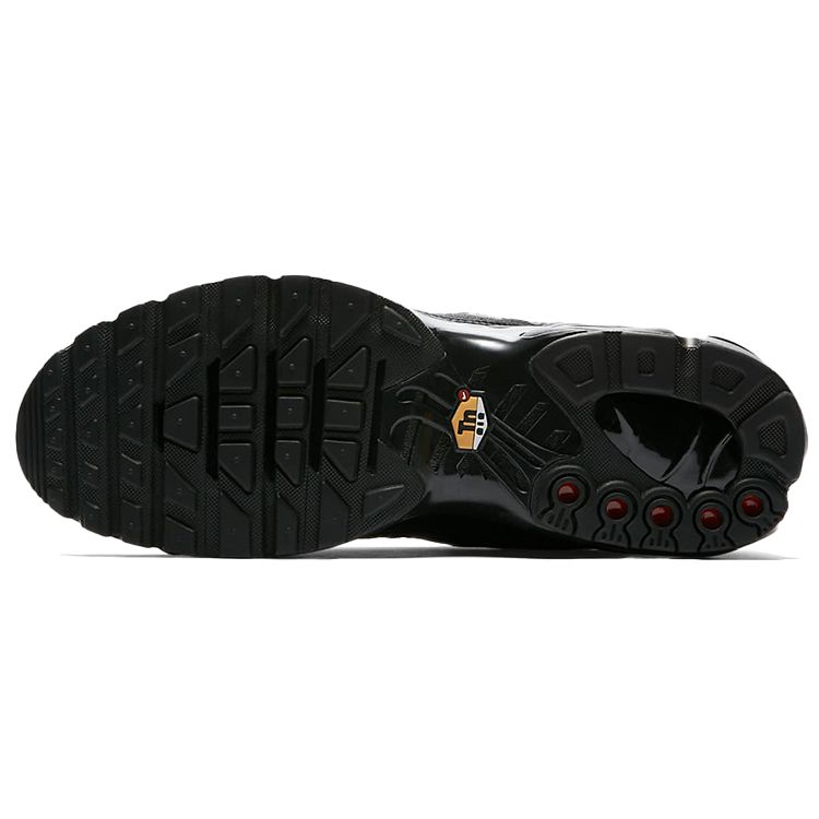 Nike Air Max Plus TN Triple Black Men Sneakers Black-Black AJ2029-001