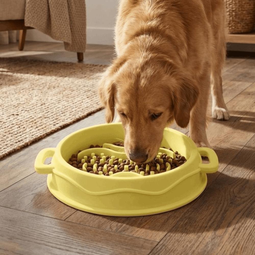Silicone Anti-Choke Bowl Non-Slip Licking Bowl Colorful Pet Food Dish Pet Enrichment