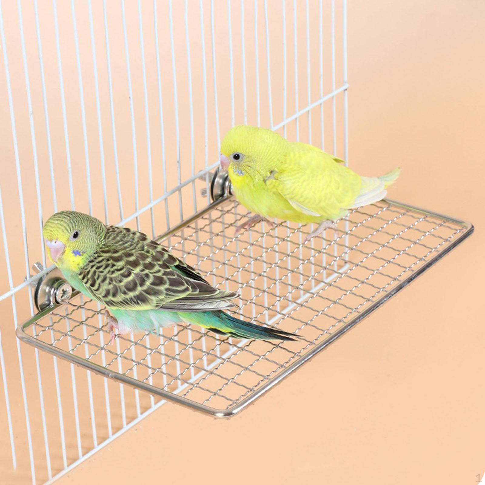 

Жердочки для птиц Платформа Полка Подставка Нержавеющая сталь Упражнения 20x15cm