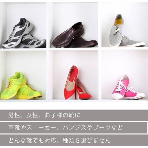 Eliminates foot odor [Proven to eliminate over 95% of sweat and sock odors] Niowan 40g Unscented Shoe Deodorizing Powder, Made in Japan, Portable/Shoe