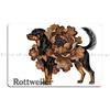 Rottweiler Rottie Dog Portrait Colorful Collage Art Metal Plaque Garage Club Wall Wall Plaque Printed Wall Mural Tin Sign Poster