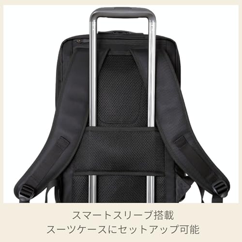 Samsonite Debonair 5 Backpack M