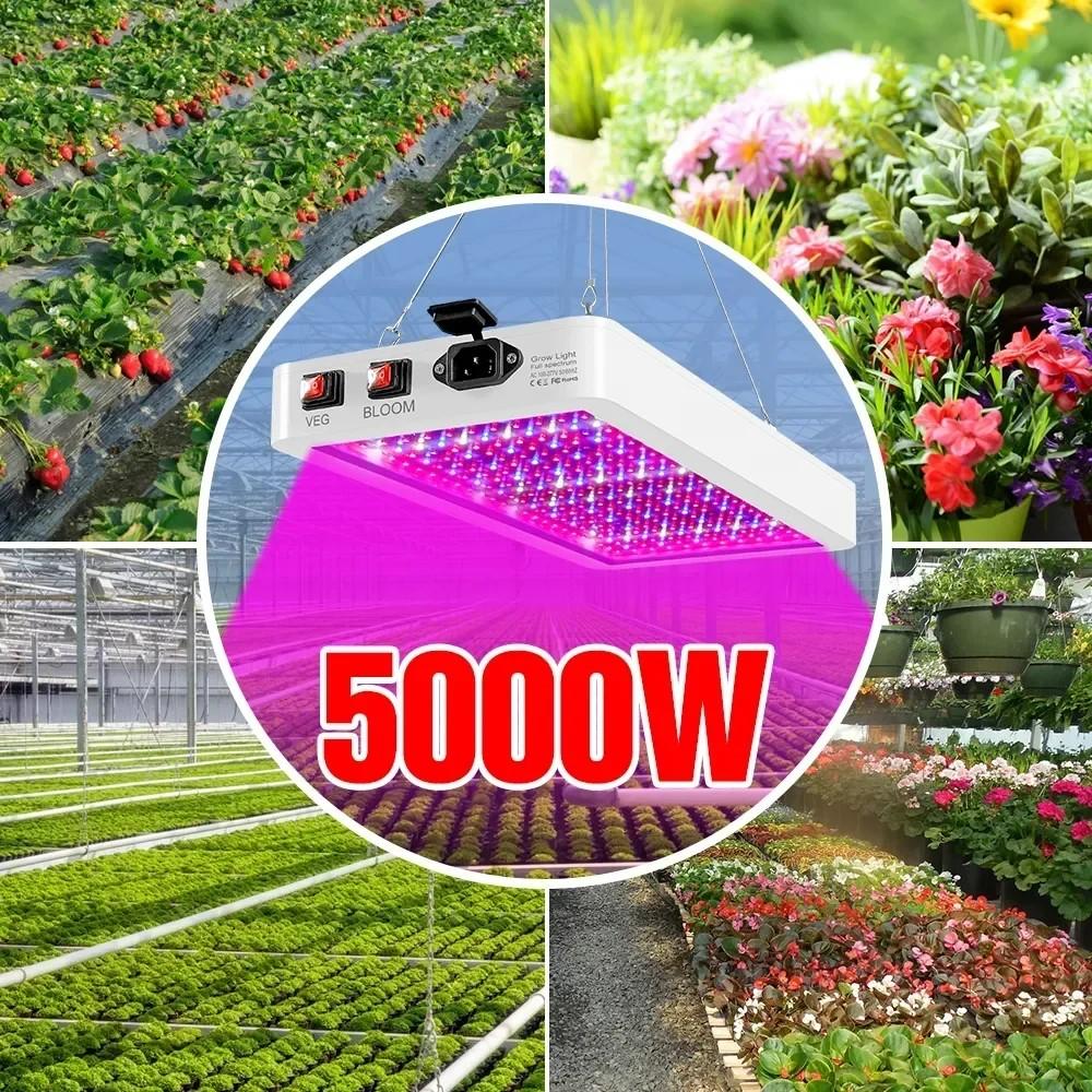 Latest 4000/5000W full spectrum LED grow light IP65 plant light hydroponic light greenhouse light flower growth light lighting