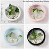 Plastic Hydroponic Vase Round Plant Container Creative Flower Arrangement  Office Display
