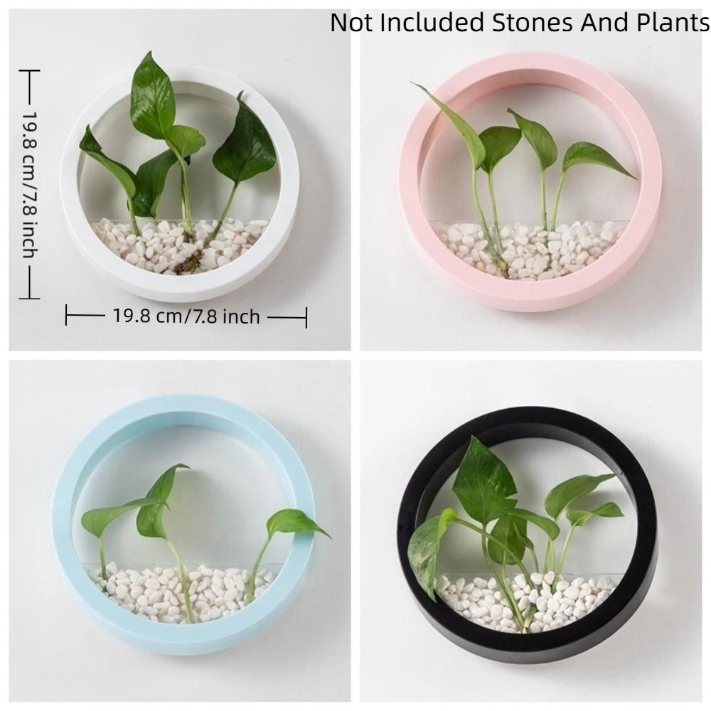Plastic Hydroponic Vase Round Plant Container Creative Flower Arrangement Office Display