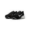 Nike  Pegasus 42 Black Iron Grey White Women Sneakers IB1881-001