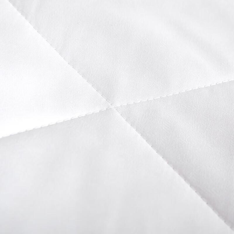 Luolai Silky Soft Tussah Silk Comforter