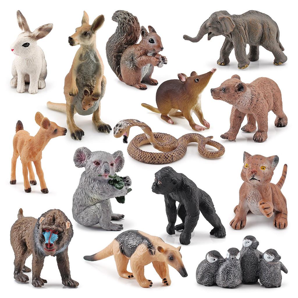 Squirrel Animal Model Set With Pvc Realistic Figures For Educational Play And Collecting Enthusiasts