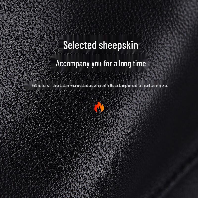 RED DRAGONFLY Men's Winter Genuine Leather Touchscreen Gloves