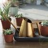 Nortic Retro Stainless Steel Long Spout Watering Can for Indoor Plants