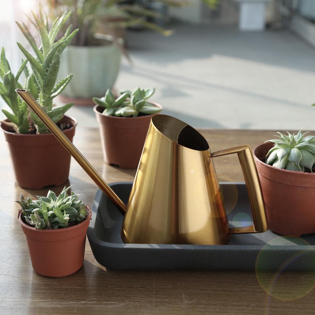 Nortic Retro Stainless Steel Long Spout Watering Can for Indoor Plants