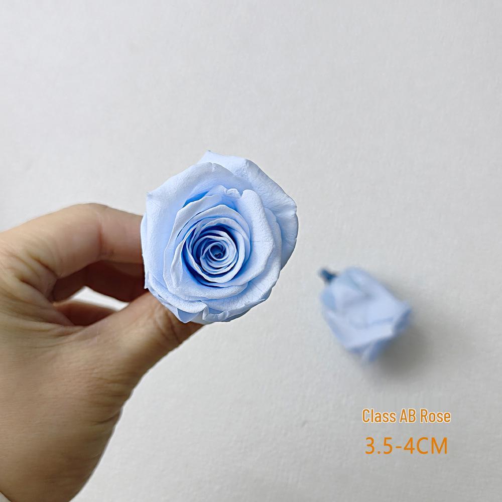 Blue Series Dried Flower DIY Kit: Hydrangea, Thousand-Layer Gold, Eucalyptus Leaf Souvenir Decoration