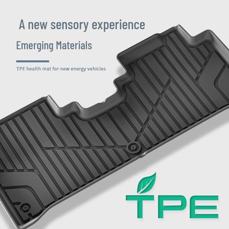 2024-2025 AION V Tyrannosaurus Rex TPE Car and Trunk Floor Mats