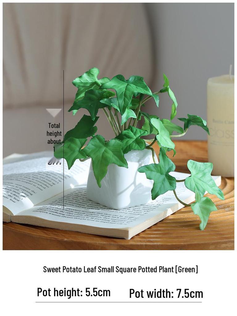 Miniature Succulent Bonsai Desk Ornament: Green Plant Props for Home or Office Decor