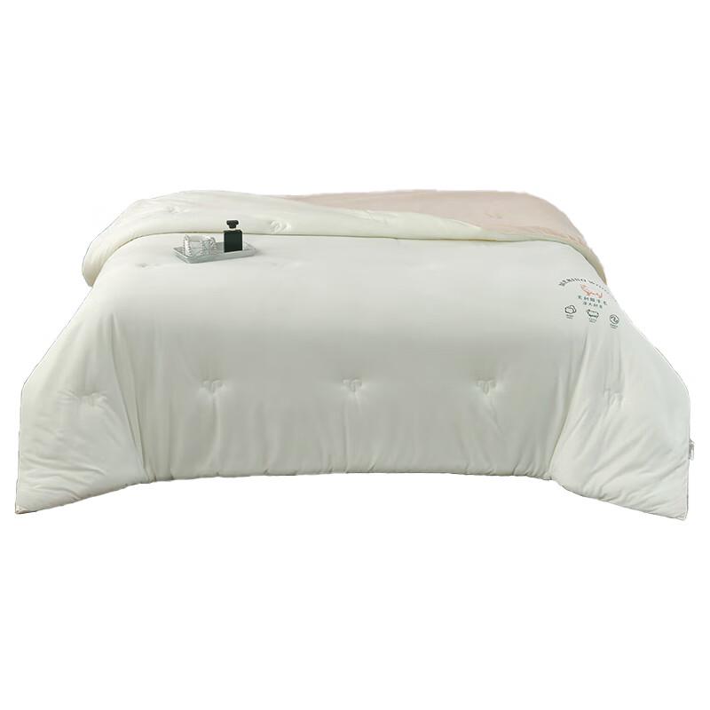 

Grace Velvet Warm Quilt