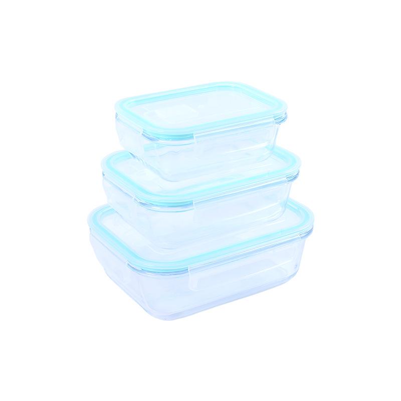 Microwave and Freezer Safe High Borosilicate Glass Food Container