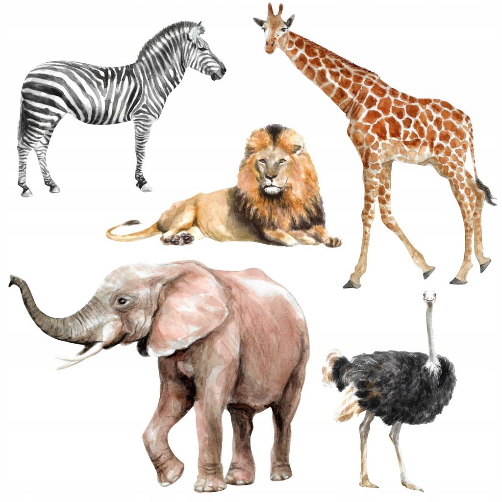 Decorative Stickers For Kids - Savannah